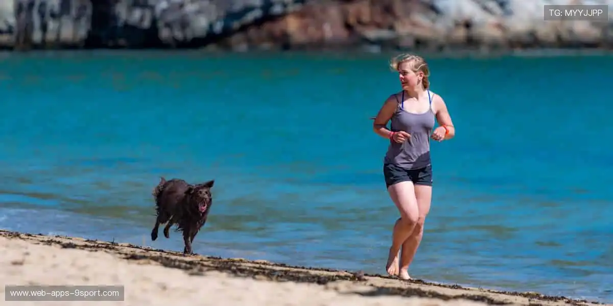 实时弹幕,互动狂欢!💬